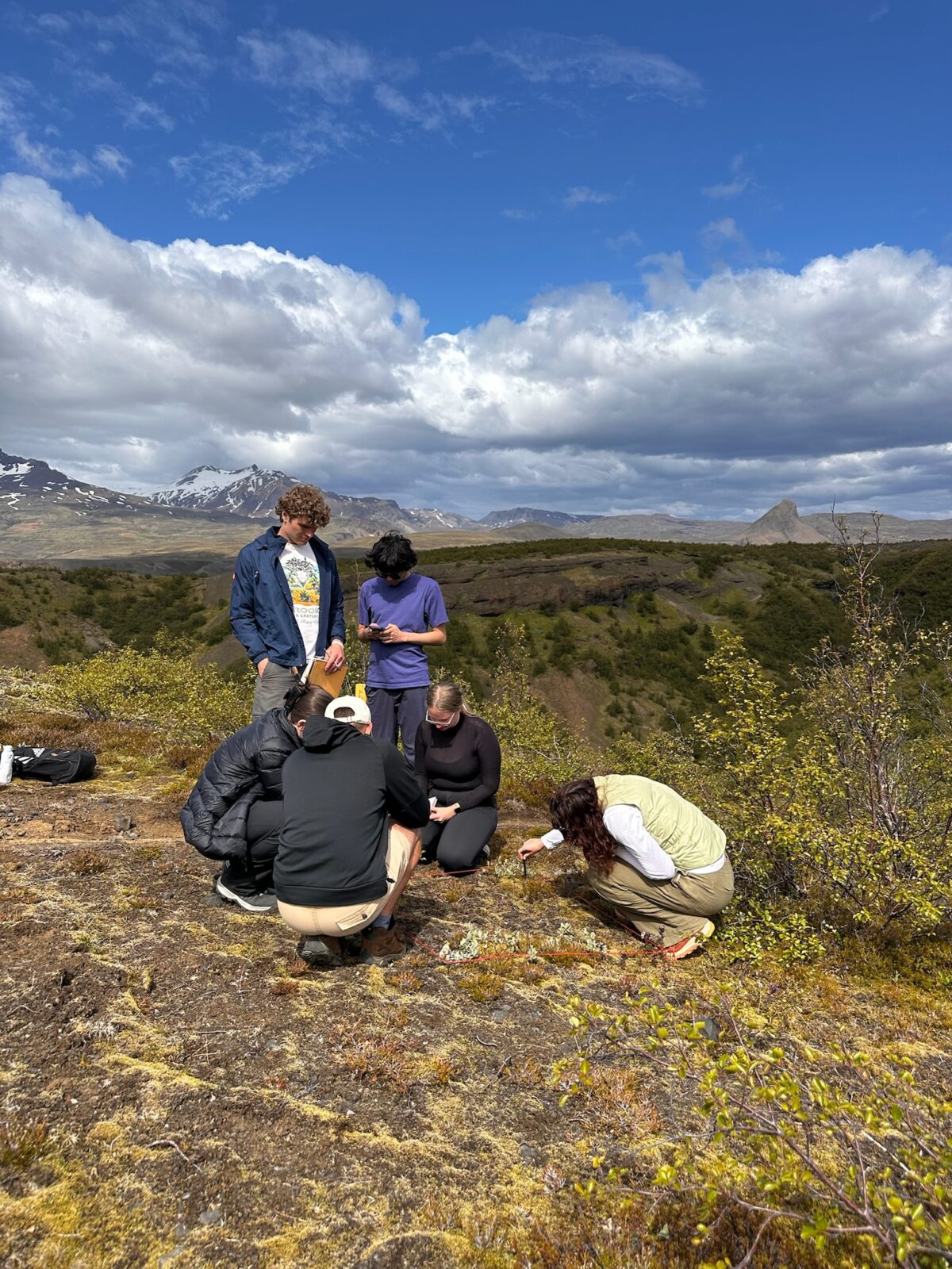 A group of students in a field inspect the items on the ground around them.