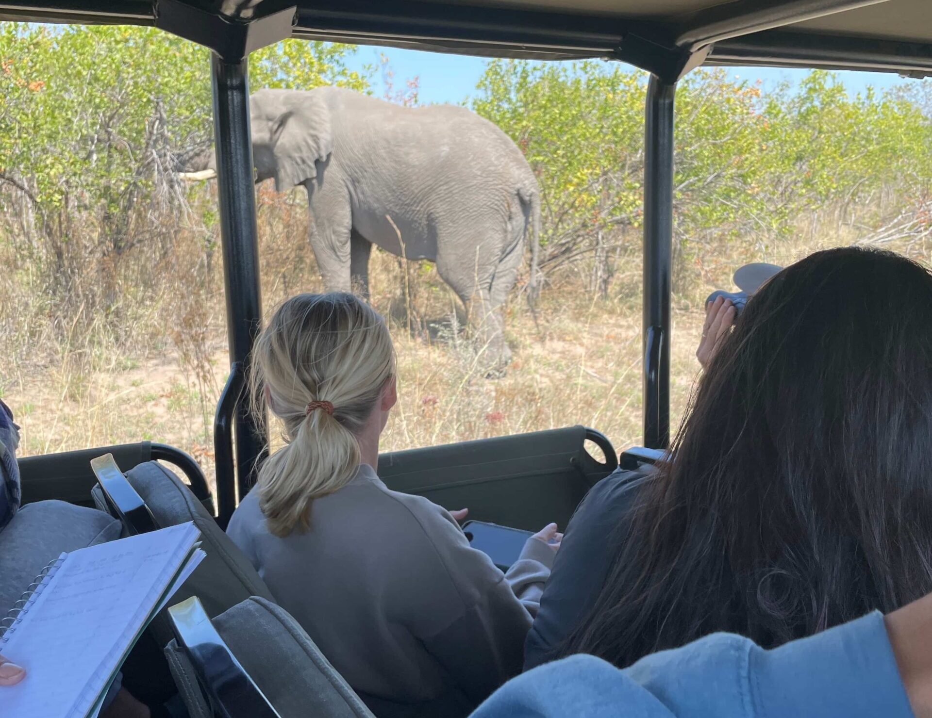 A group of student looking at an elephant through the windows of a large vehicle.
