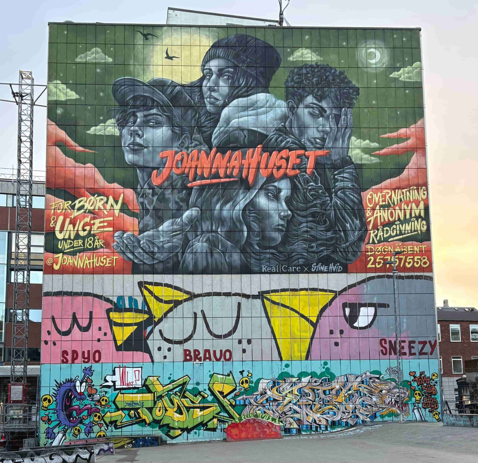 A tall building that has three large pieces of colorful street art murals. The bottom mural is abstract, the middle mural portrays cartoon birds, and the top mural 