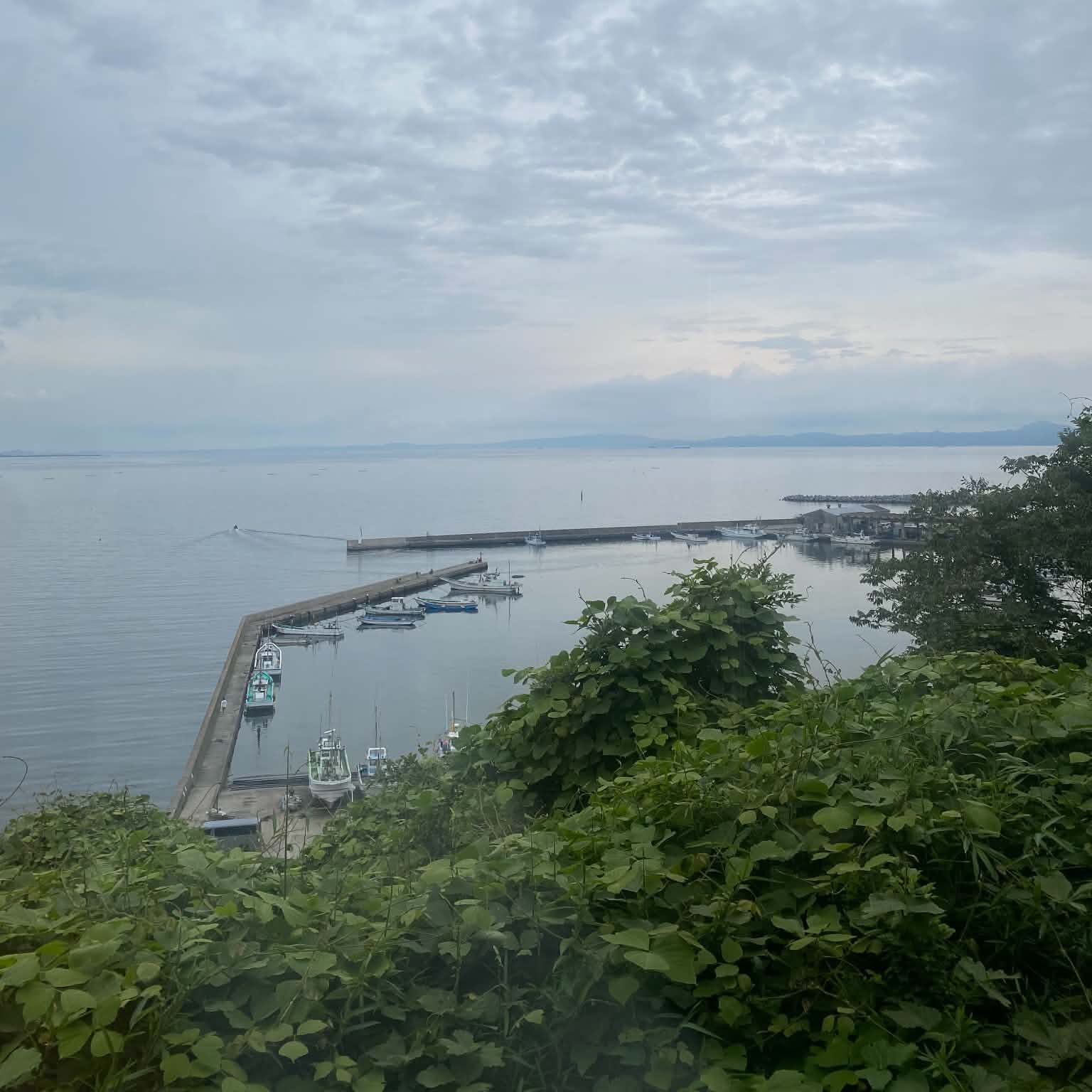 Piers stretching out into the ocean, viewed from a tall tree-covered hill.