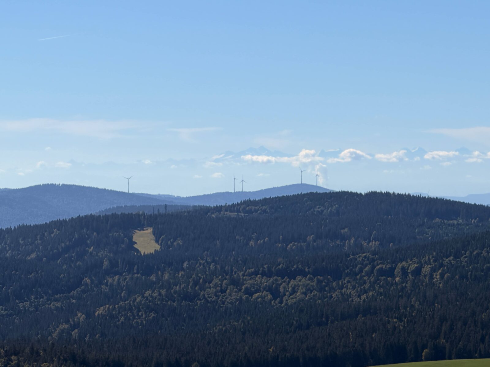Rolling green hills fade into the background under a blue sky.