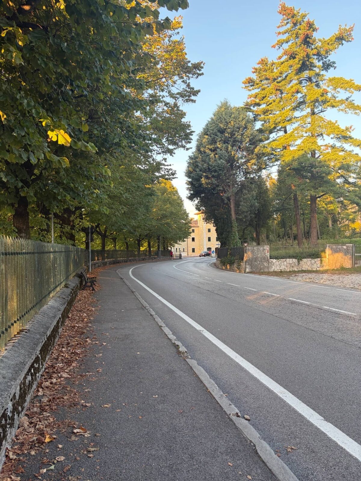 A curved road lined by trees lead to a tan building.